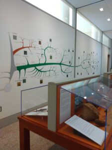 Botanical Garden. NYC