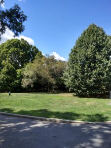 Botanical Garden. NYC