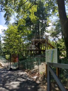 Botanical Garden. NYC