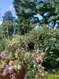 Botanical Garden. NYC