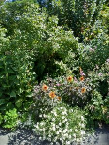 Botanical Garden. NYC