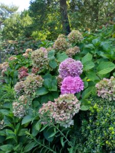 Botanical Garden. NYC