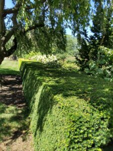 Botanical Garden. NYC