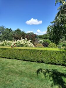 Botanical Garden. NYC