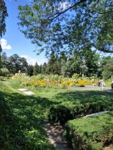 Botanical Garden. NYC