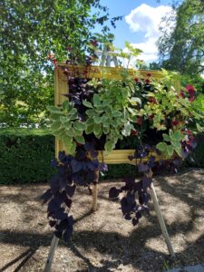 Botanical Garden. NYC