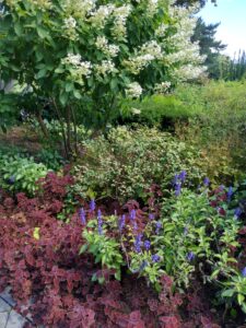 Botanical Garden. NYC