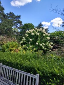 Botanical Garden. NYC