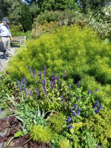 Botanical Garden. NYC