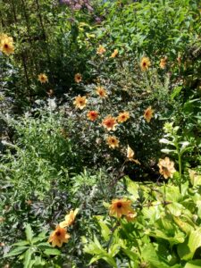 Botanical Garden. NYC