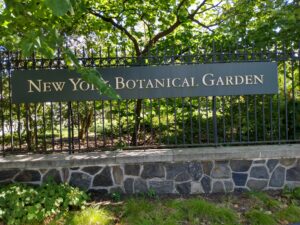 Botanical Garden. NYC