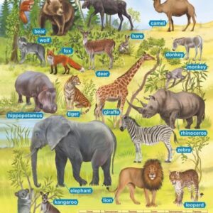 Английский язык. Wild animals/Дикие животные. Учебный плакат (Формат А2)