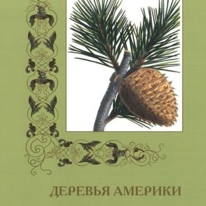 Деревья Америки