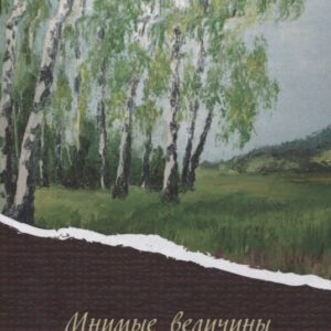 Мнимые величины