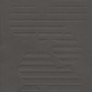 Альманах ЦЭМ: номер 1