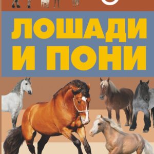 Лошади и пони